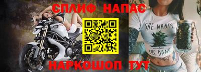 Альфа ПВП Владикавказ