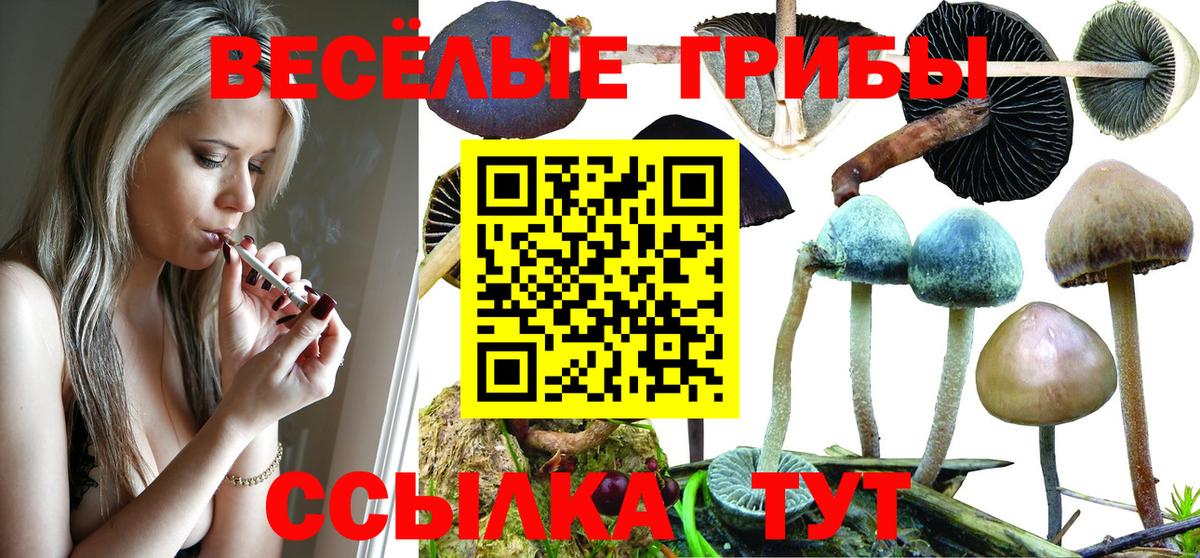 Галлюциногенные грибы GOLDEN TEACHER  Вход с VPN  Донецк 